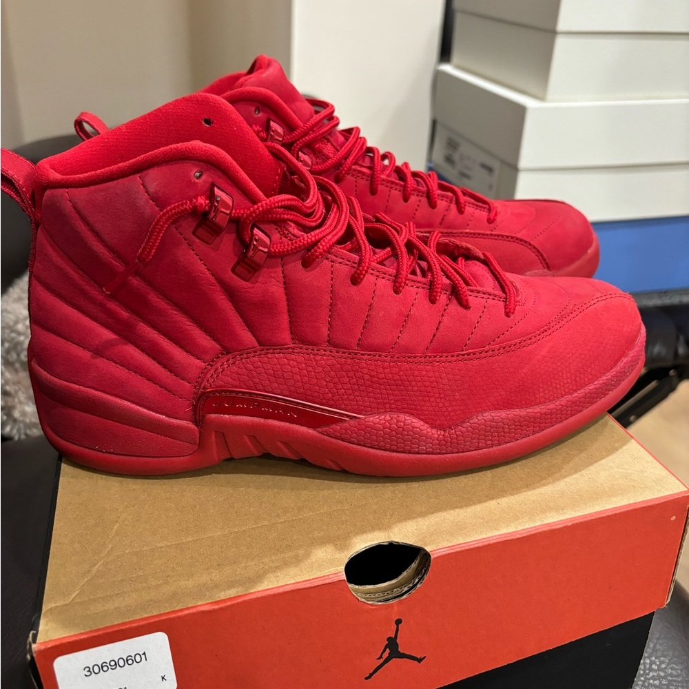 Jordan retro 12